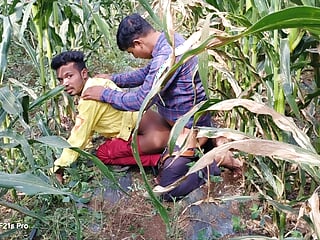 Indian Desi Movies - A Laborer Working In A Corn Field Fucked His Partner's Ass - Hindi Voice free video